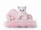 Small silver british kitten with pink divan