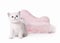 Small silver british kitten with pink divan