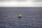 Small single-masted sailing yacht on background of weak waves