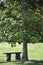 Small sitting bench under tree