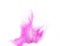 Small size purple Sand flying explosion, violet sands grain wave explode. Abstract cloud fly. purple colored sand splash throwing