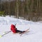 The small skier