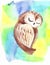 Small sleeping owl under its wing watercolor illustration, print for decorating children`s clothing and for children`s rooms.