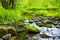 Small slow flowing river in Bavaria in spring