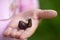 Small snail on child hand