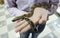 Small snake in manâ€™s hands