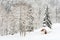 Small Snowy Alpine Chapel in the Forest I