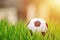 Small soccer ball in grass