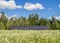 Small solar energy farm on beautiful natural meadow in nature. Renewable energy concept.