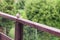 A small sparrow bird sits on a wooden terrace balustrade.