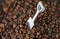 A small spatula against the background of scattered coffee, selective focus. Concept: coffee mine, coffee bean harvest.