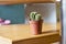 The small spiny cactus stands on a wooden surface in the living room of the house and neutralizes the harmful effects of