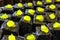 Small sponge cakes laid out on a metal tray