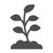 Small sprout with first leaves solid icon, spring concept, Sprout sign on white background, seedling growing in soil