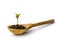 A small sprout of a tree or plant grows in the ground in a wooden spoon on a white background, close-up, isolate.