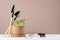 Small sprouts of peas in pot with rake, shovel, seeds on white table, beige wall. Spring gardening and earth day background.