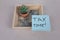 Small square blue posted note with tax time handwritten on pad with office paper clips and small desk plant