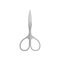 Small stainless steel nails scissors. Professional instrument for manicure and pedicure. Flat vector icon