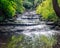 Small, Step Style Waterfall Gently Rolls through Peaceful Forest