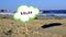 Small stick with paper speech bubble with word Relax stands on sandy beach