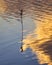 small stick reflecting in water with colourful clouds