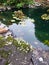 Small still lake sitting on college campus