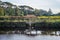 Small stone bridge over river to vineyard winery wine plants douro region