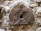 Small Stone Carving Embedded in Ancient Stone Wall, Jerusalem