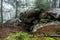 Small stone cave in the forest. Cozy place under the rocks. Shelter made of stones in the forest