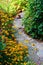 Small stone path in the garden