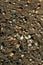 Small stones and sand. The natural texture of the soil. Shore of a reservoir with a beach and pebbles