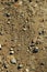 Small stones and sand. The natural texture of the soil. Shore of a reservoir with a beach and pebbles