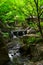 Small stream at botanic garden