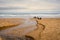 Small stream crosses Cambois Beach