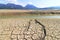 A small stream in a dried up lake in Bavaria