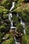 Small stream of falling water over moss and rocks