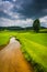 Small stream in a farm field in rural Carroll County, Maryland.