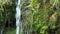 Small stream flowing over mossy waterfall