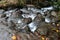 Small stream flowing over stones in the forest, Ecuador, South America