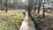 Small stream flowing through tree colonnade. Brook in natural parkland alley