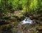 Small stream following through tropical forest Northern Territory Australia