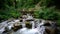 Small Stream in the Forest