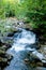 Small stream in the forest.