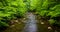 A small stream, at Great Smoky Mountains National Park, Tennessee.