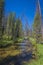 Small stream in Idaho mountains