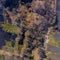 Small stream in morning forest with swamp. Drone landscape of european forest from above. Central Russia, the pattern of the