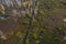 Small stream in morning forest with swamp. Drone landscape of european forest from above. Central Russia, the pattern of