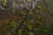 Small stream in morning forest with swamp. Drone landscape of european forest from above. Central Russia, the pattern of