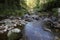 a small stream in the mountains