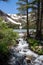 Small stream running off of Virginia Lakes in Mono County California in the summer